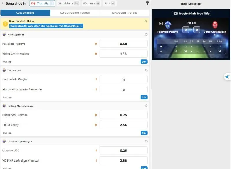 Luật cá cược Bóng chuyền 99OK cơ bản